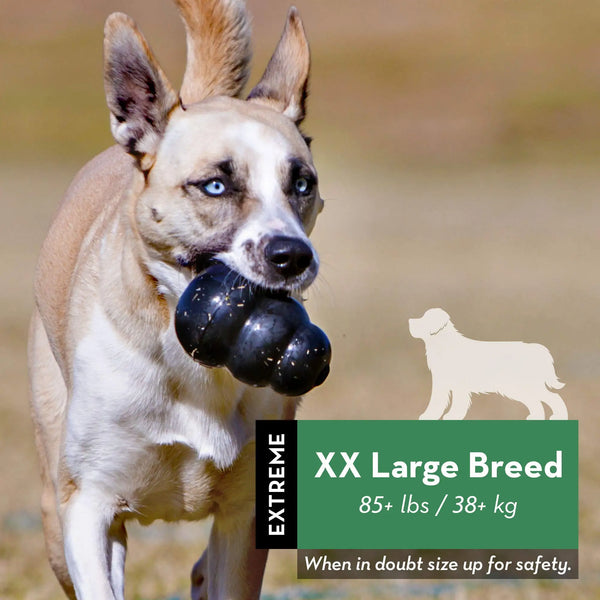 KONG - Extreme Dog Toy - Toughest Natural Rubber Dog Toy, Black - Fun to Chew, Chase and Fetch 2