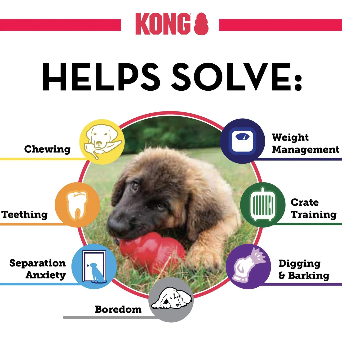 KONG - Extreme Dog Toy - Toughest Natural Rubber Dog Toy, Black - Fun to Chew, Chase and Fetch 5