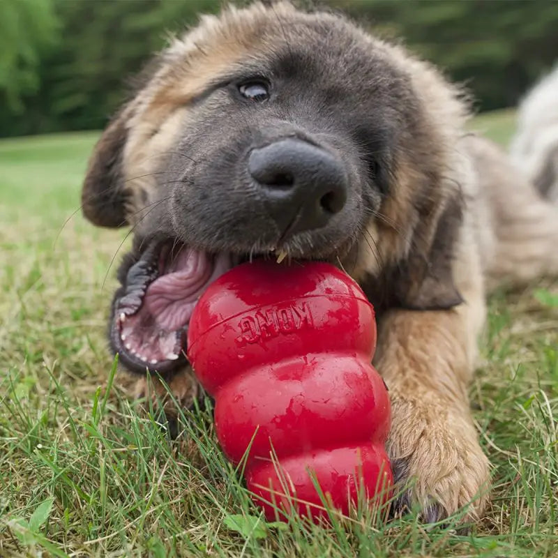 KONG Classic Dog Toy – Natural Rubber Dog Toy Chew & Fetch Fun 2