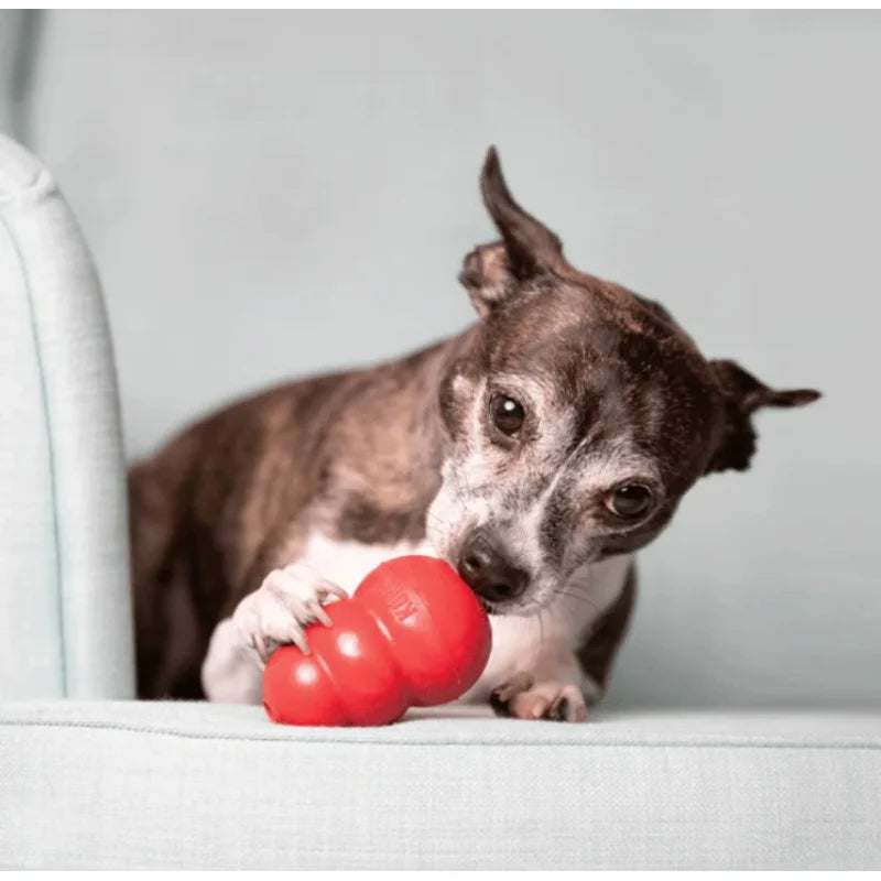KONG Classic Dog Toy – Natural Rubber Dog Toy Chew & Fetch Fun 4
