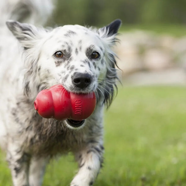 KONG Classic Dog Toy – Natural Rubber Dog Toy Chew & Fetch Fun 5