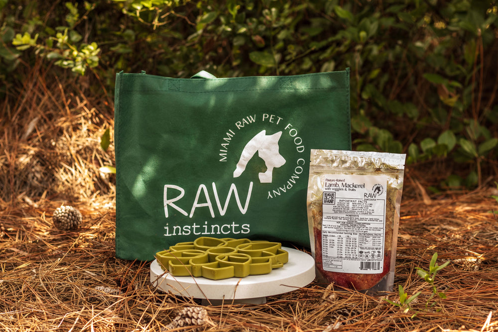 Raw Instincts - Lamb, Sardines + Veggies & Fruit Meal for Dogs & Cats (1 lb)