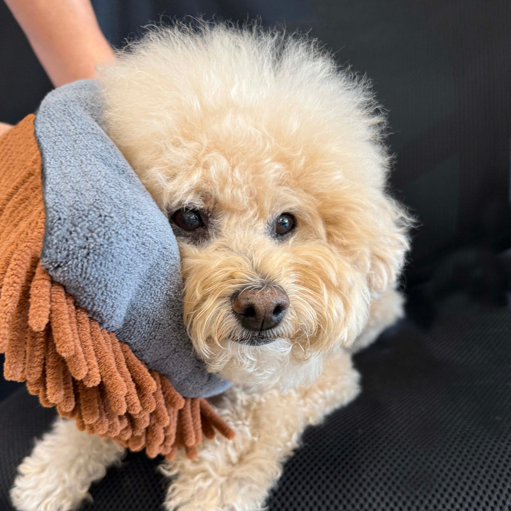 THE MAGIC MITT Dual-Sided Microfiber Grooming Mitt for Dogs & Cats — Use with Waterless Shampoo