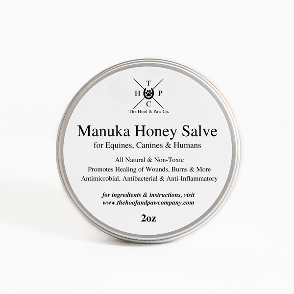 The Hoof & Paw Co. - Manuka Honey Healing Salve with Herbal Infusion - For Dogs, Horses & Humans