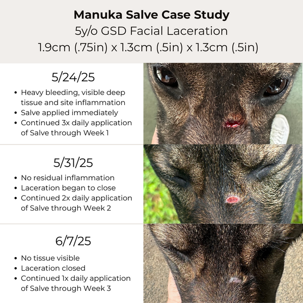 The Hoof & Paw Co. - Manuka Honey Healing Salve with Herbal Infusion - For Dogs, Horses & Humans