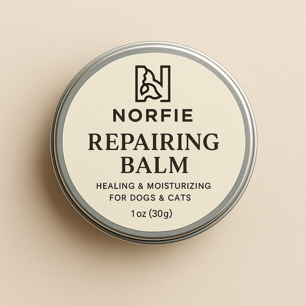 Norfie Repairing Balm tin for paws, noses, and elbows of dogs and cats
