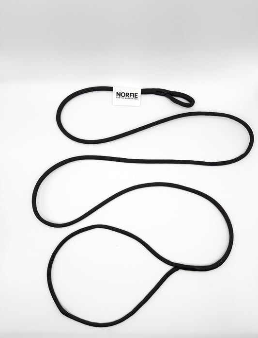 Norfie Champion Nylon Conformation Dog Show Leads Black