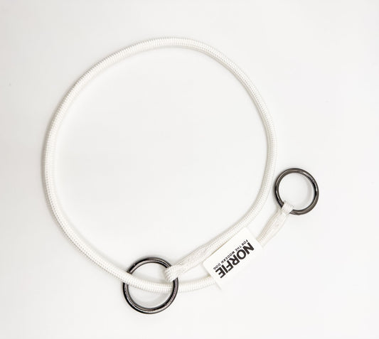 Norfie Champion Nylon Dog Show  Collar white