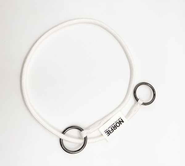 Norfie Champion Nylon Dog Show  Collar white
