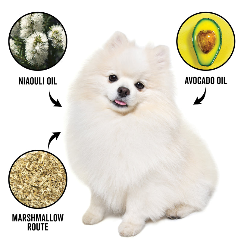 DOGDAYS Moisturizing Dog Conditioner — Hypoallergenic, Detangling, and Soothing for All Coat Types
