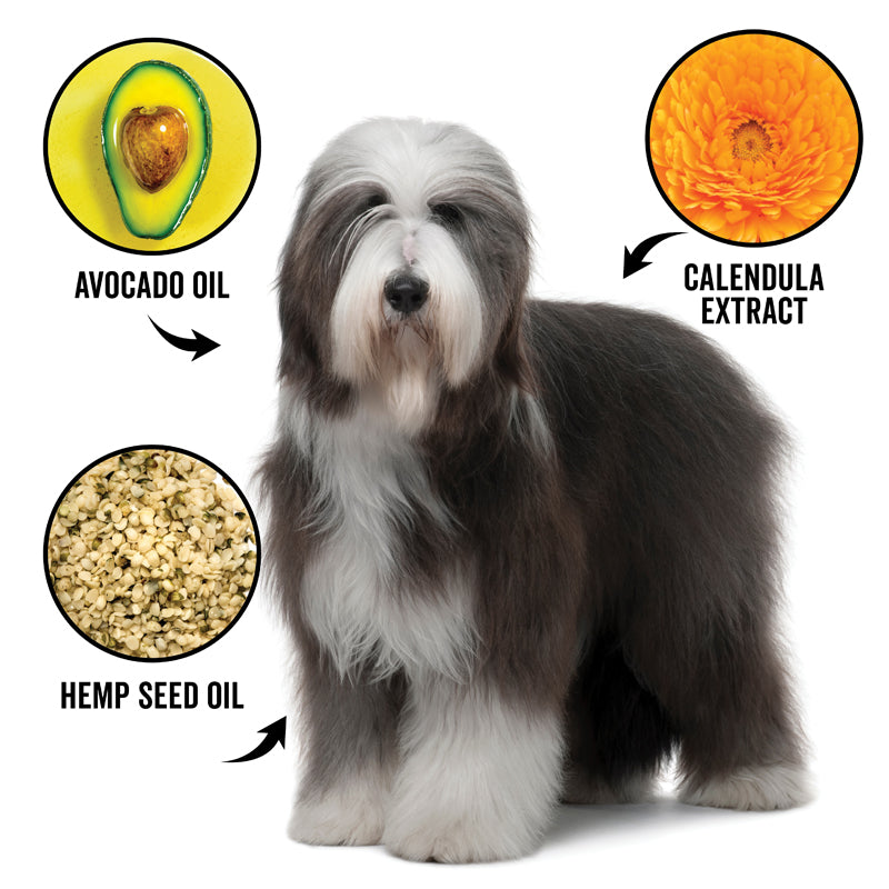 DOGDAYS Leave-In Detangling Spray — Hydrating, Frizz-Control Formula for All Coat Types