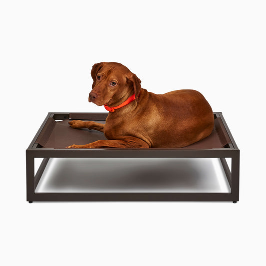 FÜZI - The Up Pup Dog Bed