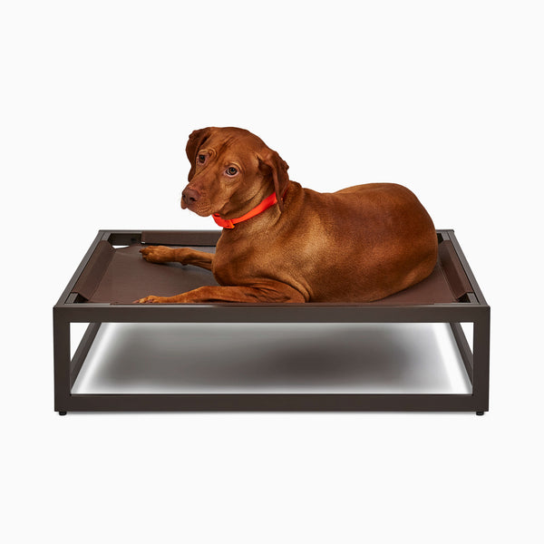FÜZI - The Up Pup Dog Bed