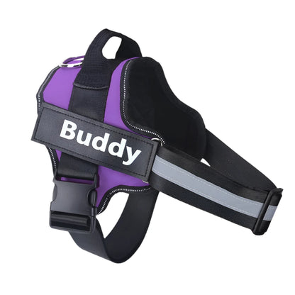 Personalized No Pull Dog Harness Purple