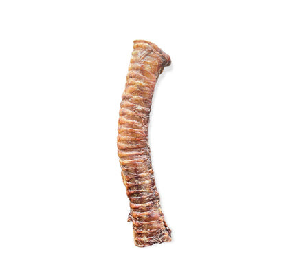 Beef Trachea
