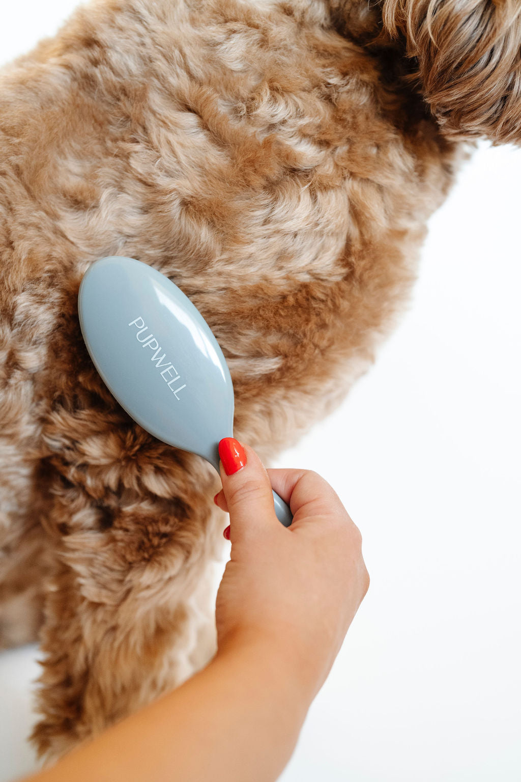 Pupwell - Gentle Detangling Brush