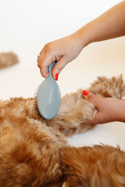 Pupwell - Gentle Detangling Brush