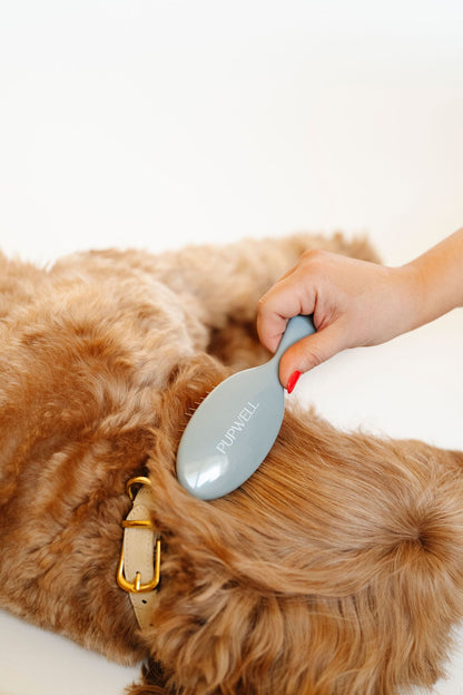 Pupwell - Gentle Detangling Brush