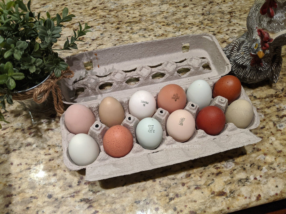 Rainbow Egg Assortment – Buy 10 + 5 Bonus Free (15 St. Run Chicks, Shipping Included)