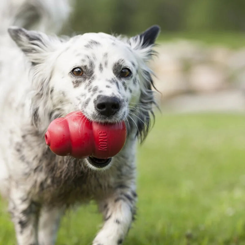 KONG Classic Dog Toy – Natural Rubber Chew & Fetch Fun