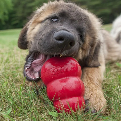 KONG Classic Dog Toy – Natural Rubber Chew & Fetch Fun