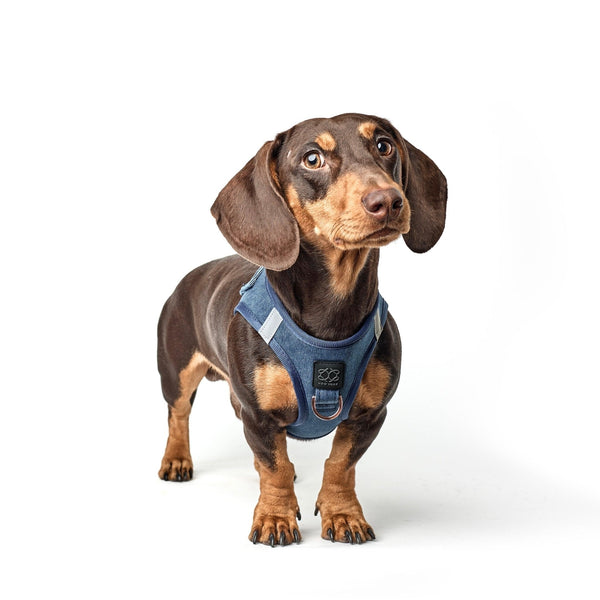 Dogistry - SoHo Dog Harness - Denim