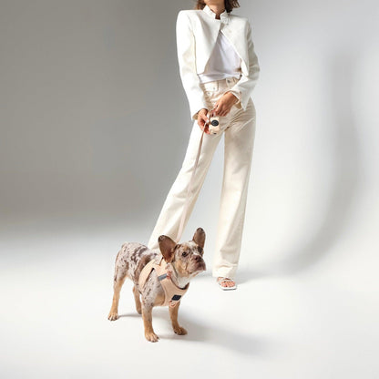 Dogistry - SoHo Dog Harness - Dune