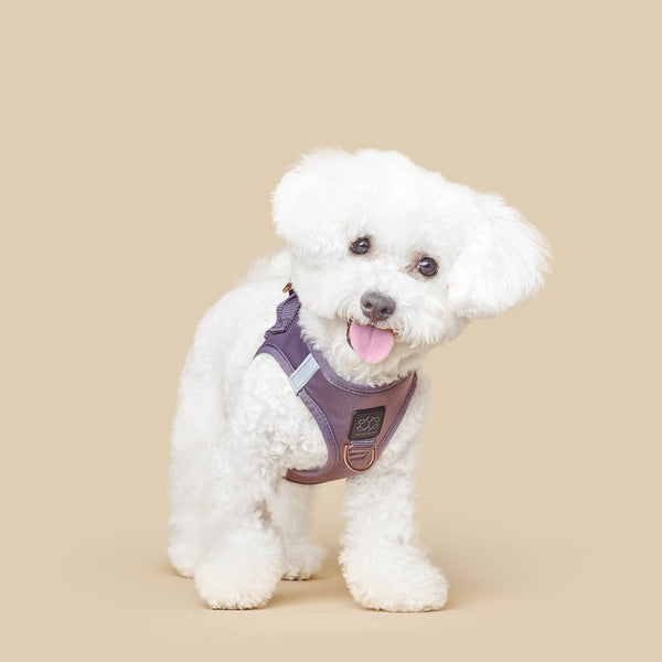 Dogistry - SoHo Dog Harness - Lilac Gray