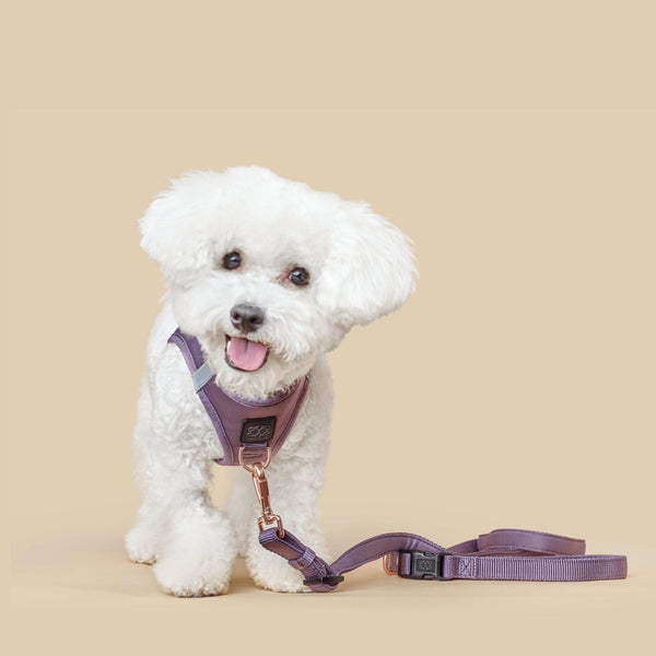 Dogistry - SoHo Dog Harness - Lilac Gray