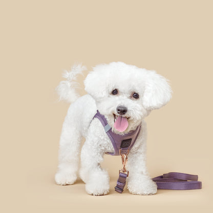 Dogistry - SoHo Dog Harness - Lilac Gray