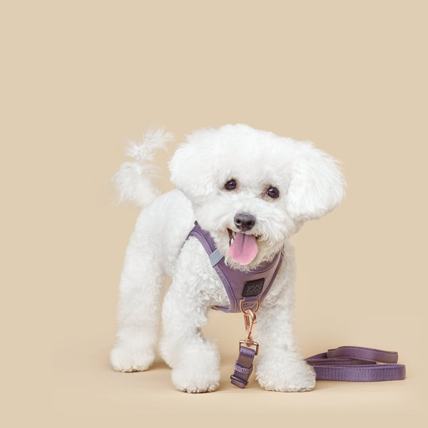 Dogistry - SoHo Dog Harness - Lilac Gray