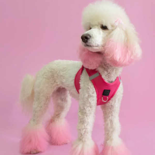 Dogistry - SoHo Dog Harness - Park Ave Pink