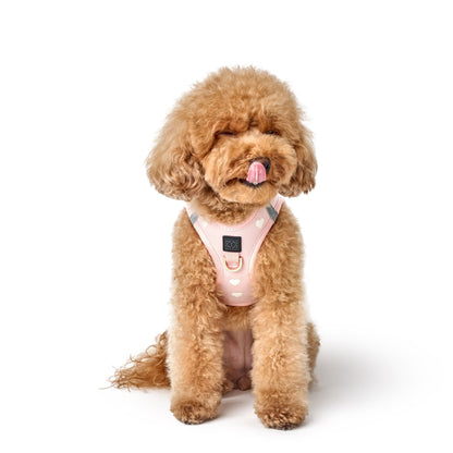 Dogistry - SoHo Dog Harness - Sweetheart