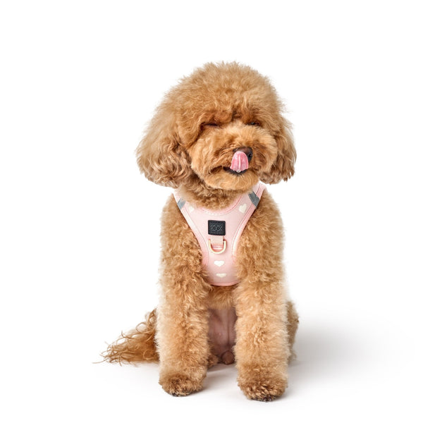 Dogistry - SoHo Dog Harness - Sweetheart