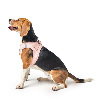 Dogistry - SoHo Dog Harness - Sweetheart