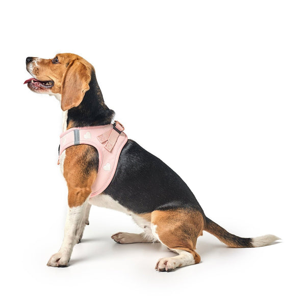 Dogistry - SoHo Dog Harness - Sweetheart