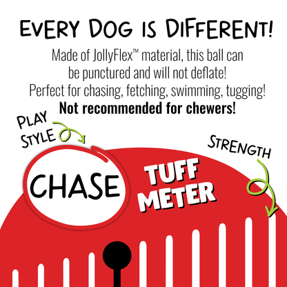 Jolly Pets - Tug-n-Toss