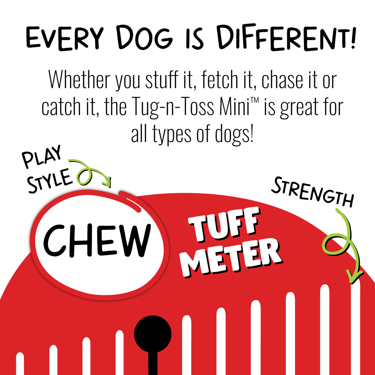 Jolly Pets - Tug-n-Toss Mini – Norfie
