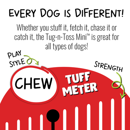 Jolly Pets - Tug-n-Toss Mini
