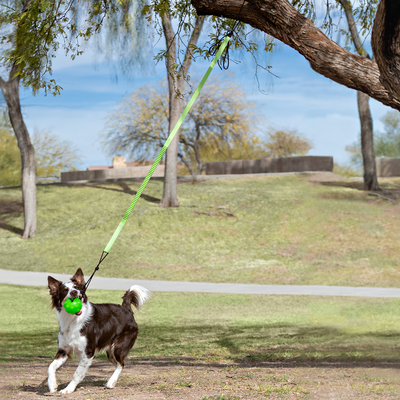 Jolly Pets - Tree Tugger
