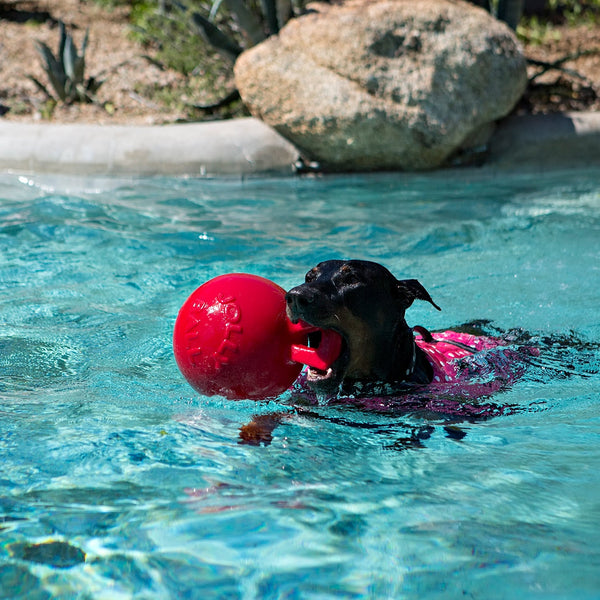 Jolly Pets - Tug-n-Toss