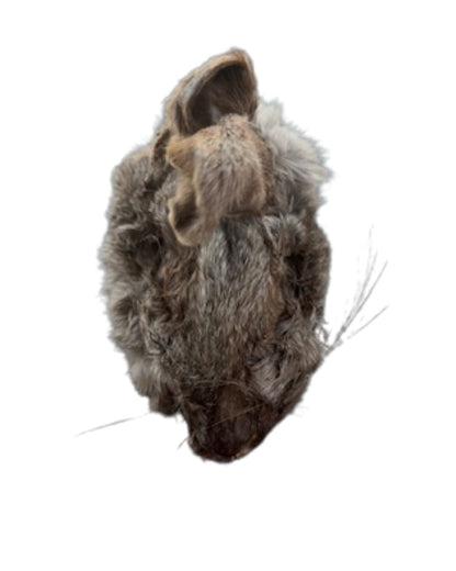 Bear's Bites Rabbit head dog chews