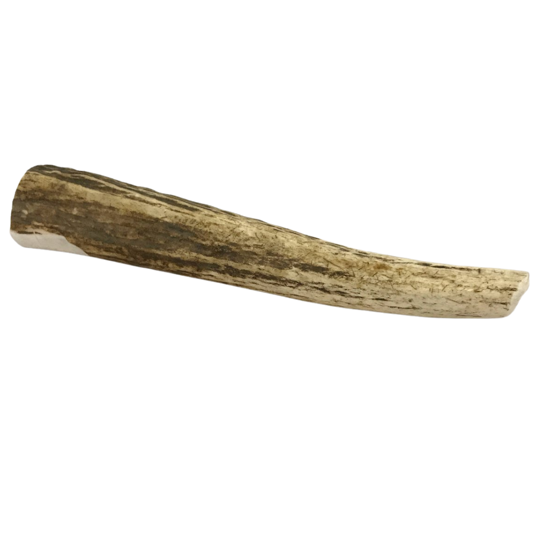 The Pet Gourmet® - Large Whole Elk Antler Dog Chew