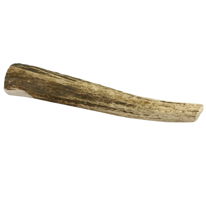The Pet Gourmet® - Large Whole Elk Antler Dog Chew
