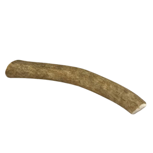 The Pet Gourmet® - Medium Whole Elk Antler Dog Chew