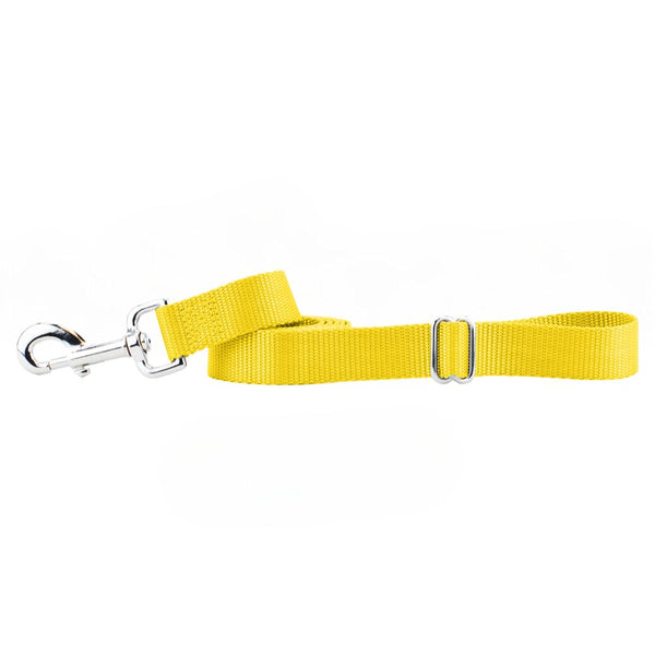 2 Hounds Design - Yellow Nylon Dog Leash