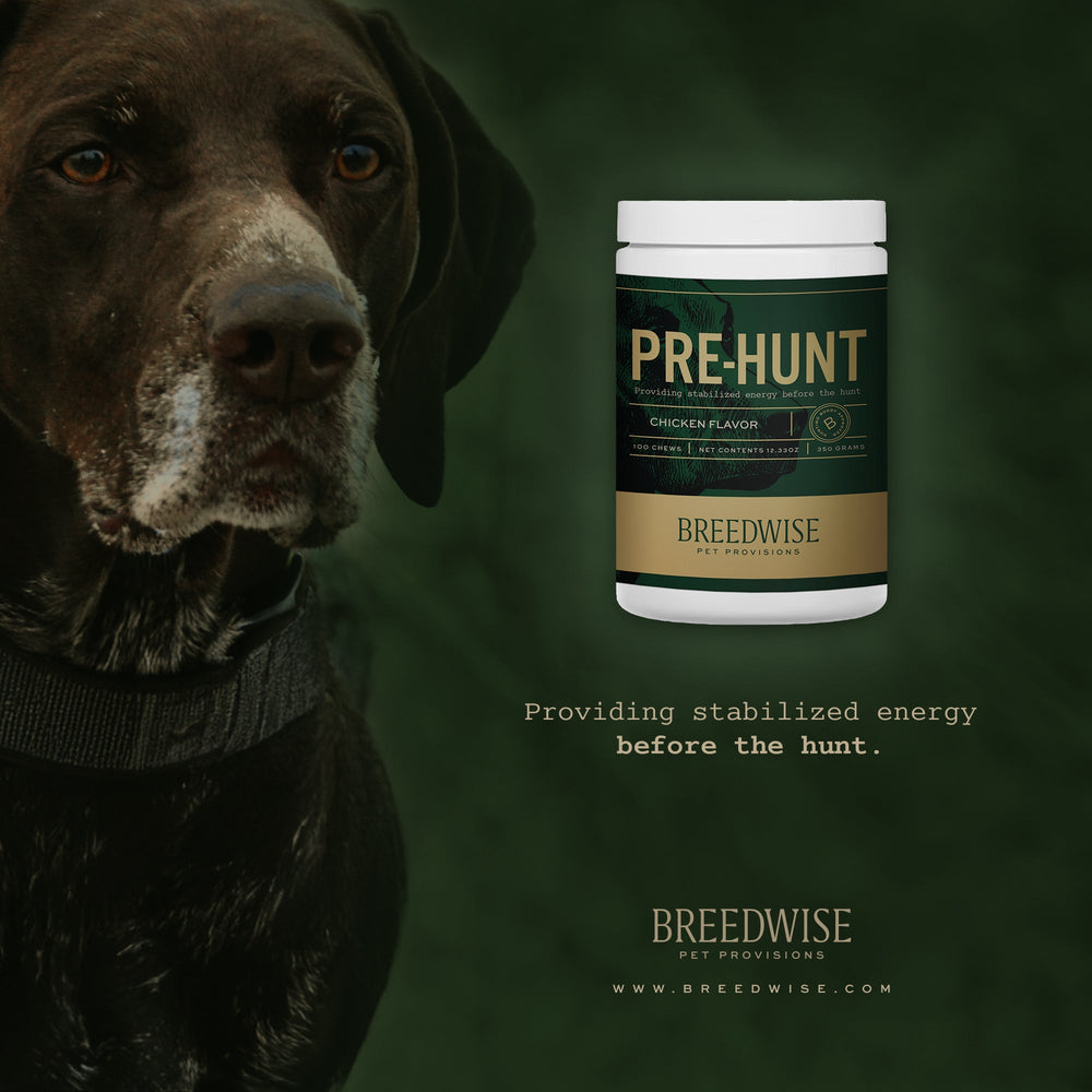 Breedwise Pre & Post-HUNT Soft Dog Chews -  Bundle