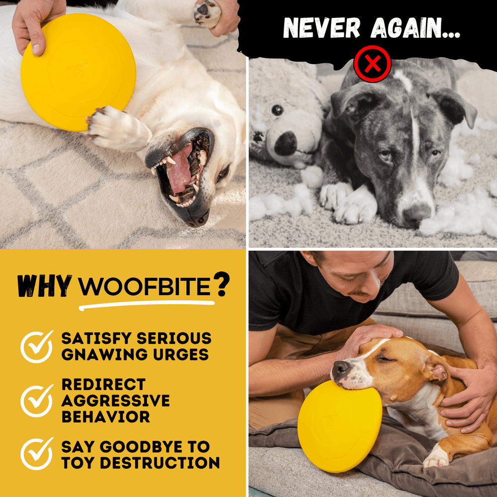 Monster K9 Dog Toys - Air Disc