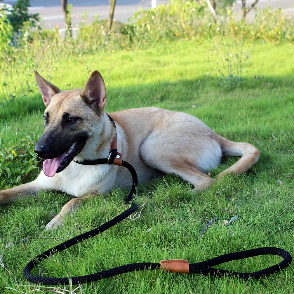 Dog Leash Slip Lead with Snap Hook