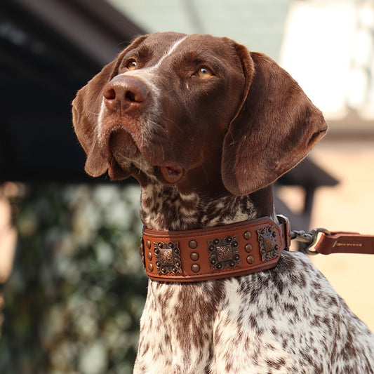 Supreme Leather Dog Collar